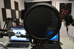 Pop Filters